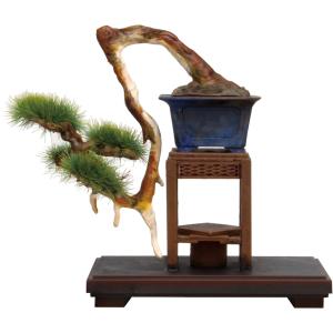 Cobaanii mokei工房 コバアニ模型工房 1/12 和の造作シリーズ 檜の露天