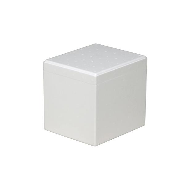 カルックス(Karux) 多目的クーラー 約13.7L /3-5643-03