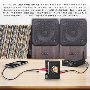 Douk Audio L1 ミニ ステレオライ...の詳細画像4