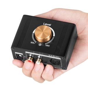 Douk Audio L1 ミニ ステレオライ...の詳細画像5