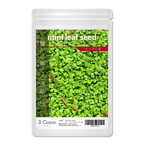 水草の種 mini leaf seed〈ミニリーフシード〉5g アクアリウム 水草絨毯 熱帯魚