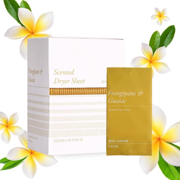 LAVOIR ラヴアセンテッド・ドライシート:プルメリア&amp;ガイアック 40枚 (Frangipani...