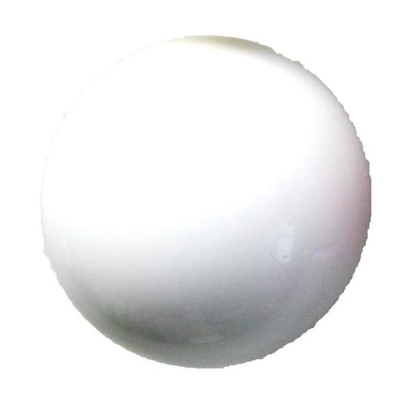 コクサイ(Kokusai) ゲートボール練習用ボール ホワイト PB00