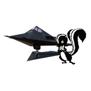プラッツ 1/144 アメリカ空軍 ステルス戦闘機 F-117 ナイトホーク スカンクワークス プラ...