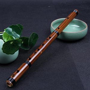 Jinchuan 竹製フルート 笛子 竹笛 横笛 尺八 短い笛 短笛 木管楽器 ミュージカル 伝統的な手作り (E 調)｜earth-c