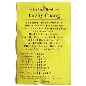 Lucky Changkiキーホルダー アジア...の詳細画像3