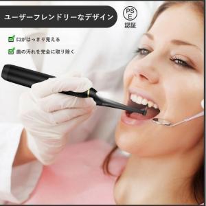 歯石取り 超音波 スケーラー 歯用ツール 電動 ...の商品画像