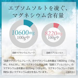 国産 マグネシウムフレーク【2kg】計量スプー...の詳細画像3