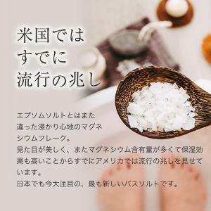 国産 マグネシウムフレーク【2kg】計量スプー...の詳細画像4