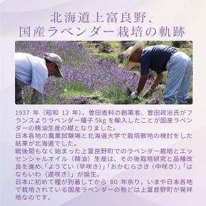 アロマ エプソムソルト ラベンダー上富良野【2...の詳細画像4