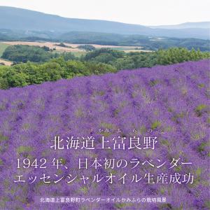 アロマ エプソムソルト ラベンダー上富良野【2...の詳細画像5