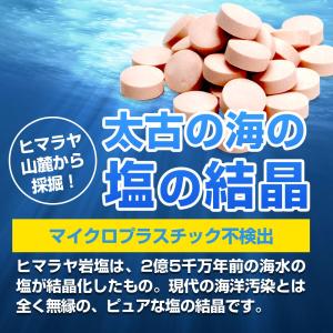 ヒマラヤ岩塩タブレット 携帯ケース入り 50錠...の詳細画像4