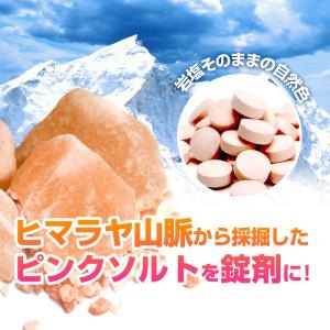 ヒマラヤ岩塩タブレット 携帯ケース入り 50錠...の詳細画像5