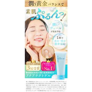 アクシリオ アクアテクトゲル 250g 【アー...の詳細画像1