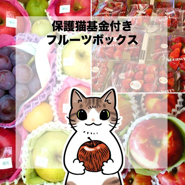 山野りんりん直筆サイン付きオリジナルボックスで送る初夏のフルーツ詰め合わせ