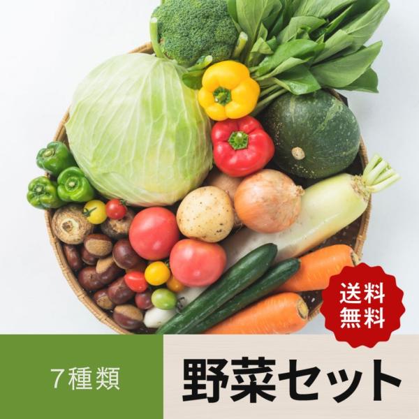 お試し 7種類 ８０サイズダンボール てるみんガーデンファーム キサキの里  山口県産 九州産 野菜...
