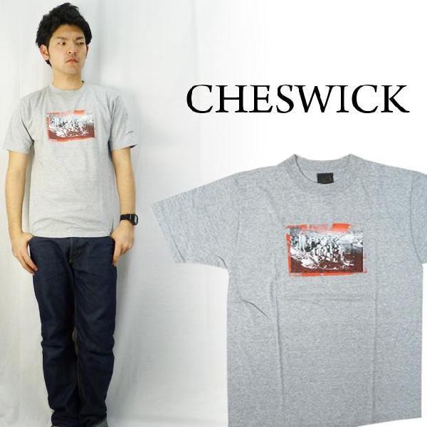 CHESWICK チェスウィック ピグメントプリントS S Ｔシャツ