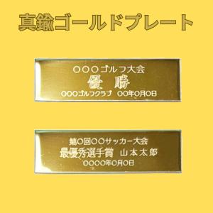アーストロフィー 金属製盾 大理石 FEN10...の詳細画像3