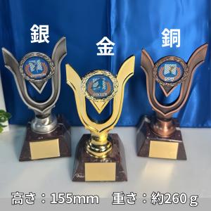 アーストロフィー 金属製盾 大理石 T516 ...の詳細画像1