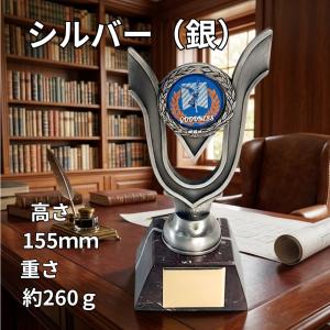 アーストロフィー 金属製盾 大理石 T516 ...の詳細画像5