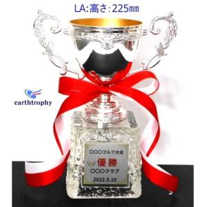 アーストロフィー 優勝カップ金属製+ガラス台 ...の詳細画像2