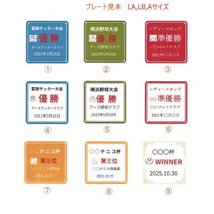 アーストロフィー 優勝カップ金属製+ガラス台 ...の詳細画像5