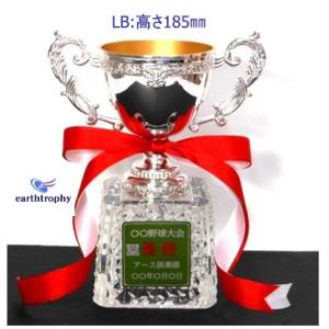 アーストロフィー 優勝カップ金属製+ガラス台 ...の詳細画像3
