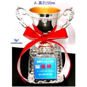 アーストロフィー 優勝カップ金属製+ガラス台 ...の詳細画像4