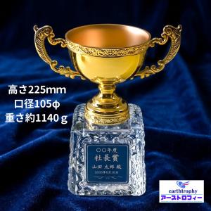 アーストロフィー金属製優勝カップ+ガラス台 W...の詳細画像1