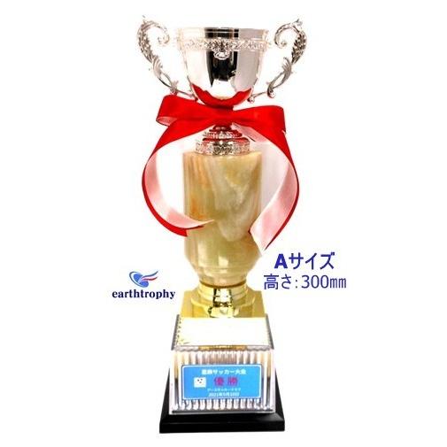 アーストロフィー 優勝カップ金属製＋オニックス Aサイズ W083
