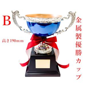 アーストロフィー 優勝カップ金属製 ブルー W...の詳細画像2