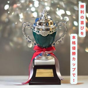 アーストロフィー優勝カップ金属製 WD1001...の詳細画像4
