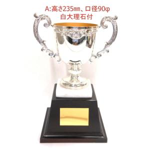 アーストロフィー 優勝カップ金属製WDW Aサ...の詳細画像1