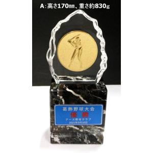 アーストロフィー ガラス盾+天然石トロフィーW...の詳細画像1
