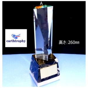 アーストロフィー クリスタルガラス +天然石ト...の詳細画像1