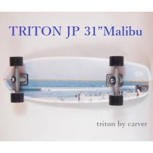 送料無料 日本限定品 正規品 TRITON JP 31” Malibu CXトラック CARVER トライトン カーバー スケートボード カービングトラック サーフスケート｜earthweb-shop