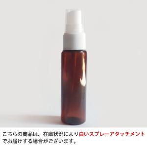 スプレー プラスチック(茶色) 30ml 10...の詳細画像1