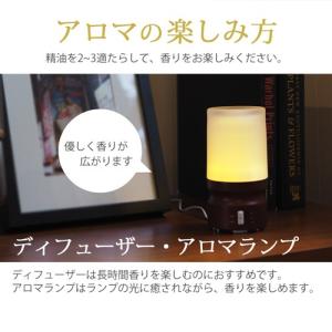 ティートリー 100ml 精油 エッセンシャル...の詳細画像5