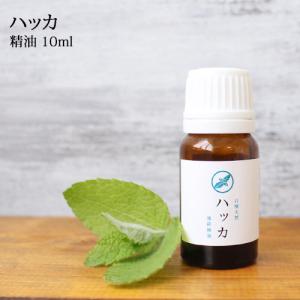 ハッカ精油　ハッカ 10ml☆薄荷 はっか ハッカ油　アロマ 虫除け 虫よけ ハーブ 植物 エッセンシャルオイル ミント☆メール便可☆｜ease アロマ ショップ