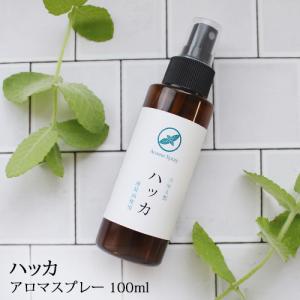 ハッカスプレー アロマスプレー ハッカ 100ml☆薄荷