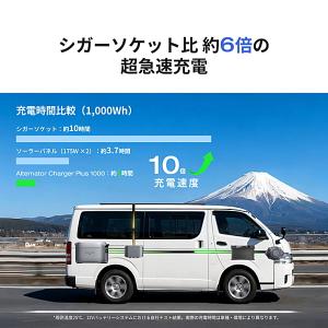 EcoFlow 1000W Alternato...の詳細画像3