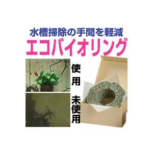 エコバイオリング