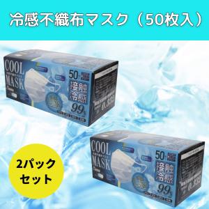 不織布マスク 夏用 接触冷感 0.332 クール なつよう 夏ますく ひんやり れいかん 冷たい 使い捨て 大人 用 普通サイズ 三層構造 50枚入り 2個セット｜ease2019