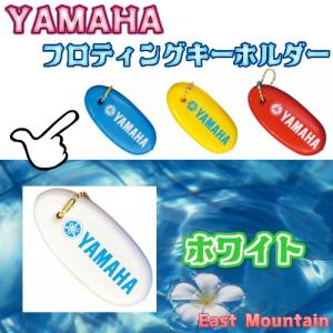 メール便 対応商品 ヤマハ フローティングキー...の詳細画像1