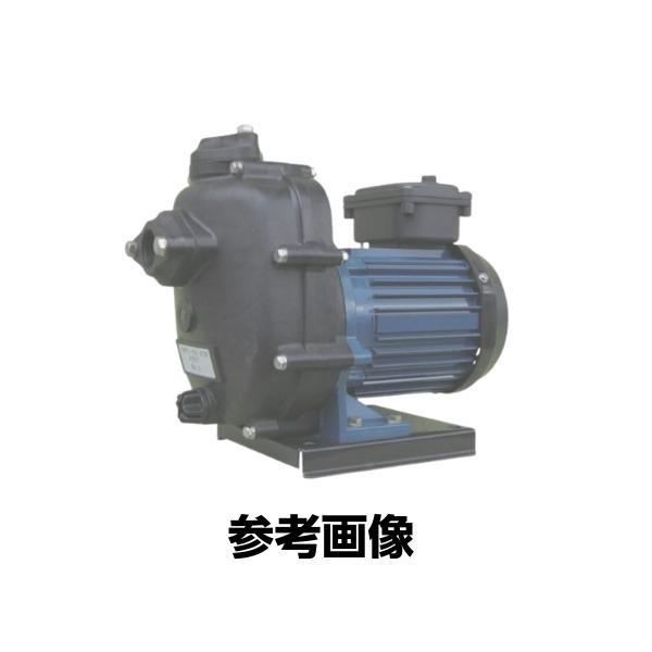 寺田ポンプ セルプラテクポン 単相100V 全閉外扇屋外形モートル付60Hz CMP3N60.4R ...