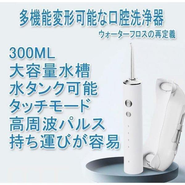 改良最新版 口腔洗浄器 口腔洗浄機 ジェットウォッシャー コードレス 2in1 USB充電式 替えノ...