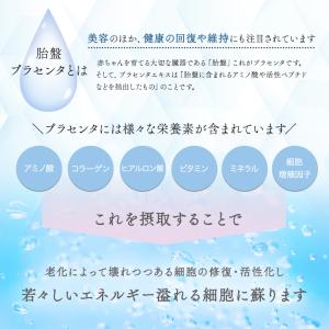 ドクターセレクト 300000 プラセンタドリ...の詳細画像1