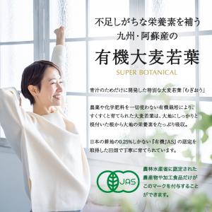 緑効青汁 アサヒ緑健 90袋入 約1か月分 健...の詳細画像1