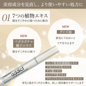 ブロウアディクト アイブロウ コンディショニン...の詳細画像2