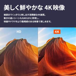 Amazon Fire TV Stick 4K...の詳細画像2